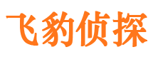 广陵侦探公司